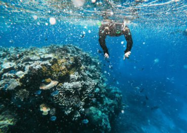 Dive community, diving insurance