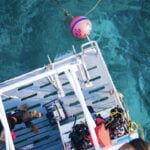 banner_tarde