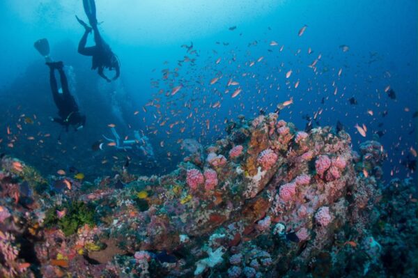 2 Day ScubaMedic Dive Accident