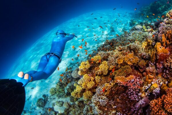 Annual ScubaMedic Dive Accident Plus