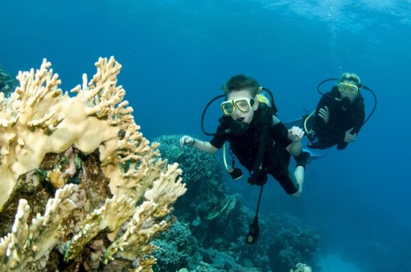 Annual ScubaMedic Dive Accident